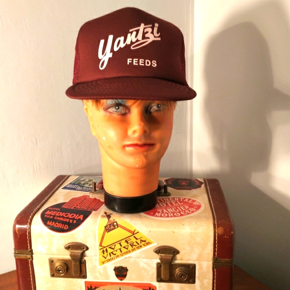 😃Feed mill trucker cap in New/Mint condition